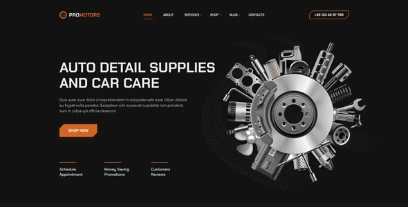 ProMotors – Cars Detailing Service HTML Template