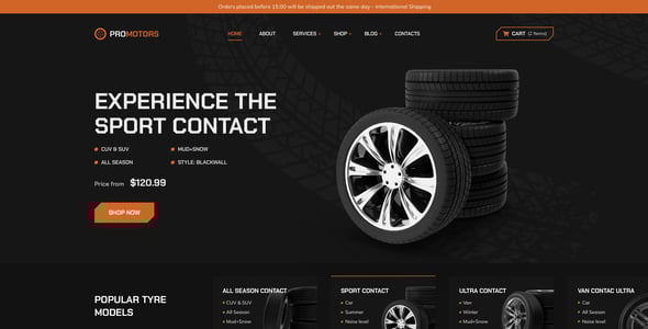 ProMotors – Cars Detailing Service HTML Template