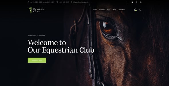 Equestrian Centre - Horse-riding School Theme