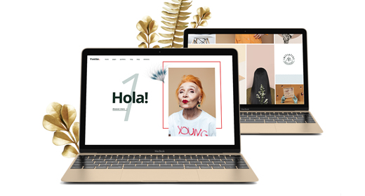 Best Creative Portfolio WordPress Themes