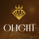 Olight - Jewelry Store WordPress Theme - ThemeForest Item for Sale