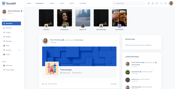 SocialV - Social Network and Community BuddyPress Theme