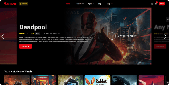 Streamit WP - Video Streaming WordPress Theme