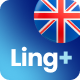 LingPlus - Language School & Online Courses WordPress Theme - ThemeForest Item for Sale