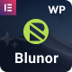 Blunor – Creative Agency WordPress Theme - ThemeForest Item for Sale